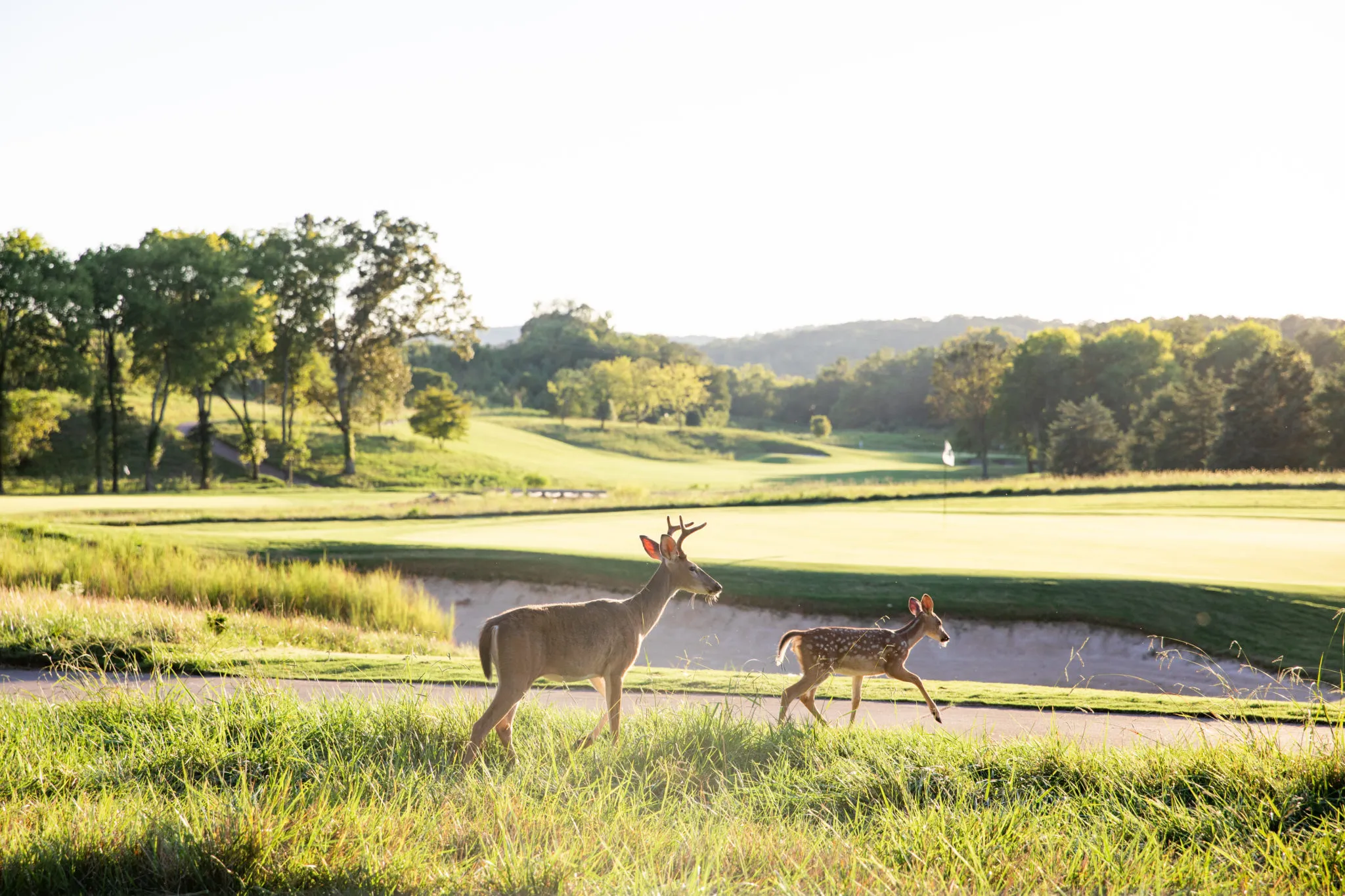 Walking trail through trees at Tennessee National community