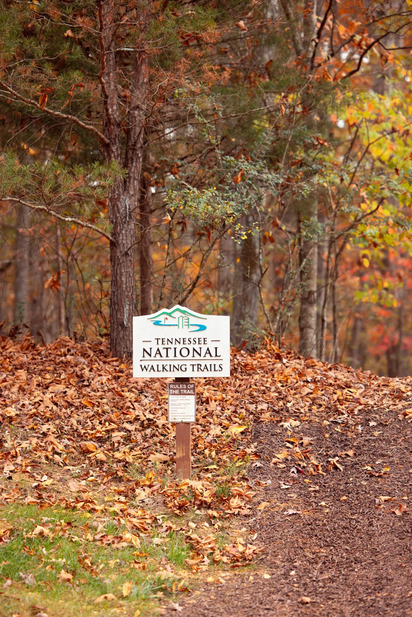 Fall foliage across the community